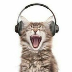 Meet your Posher, Jj